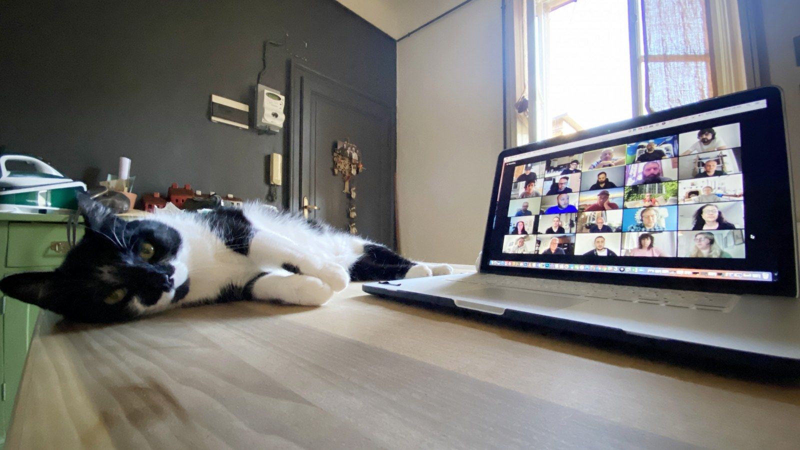 Проблеми з мережею та сусід з дрилем: Zoom Escaper імітує неполадки, щоб уникнути дзвінка