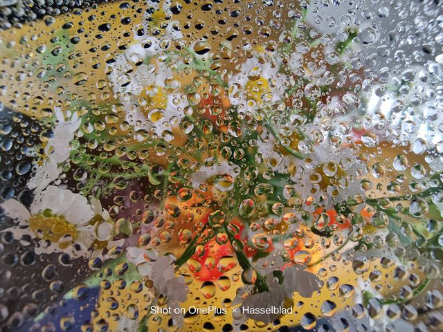 OnePlus 9 Pro: результати тестування та нові фото, зроблені смартфоном - фото 452238