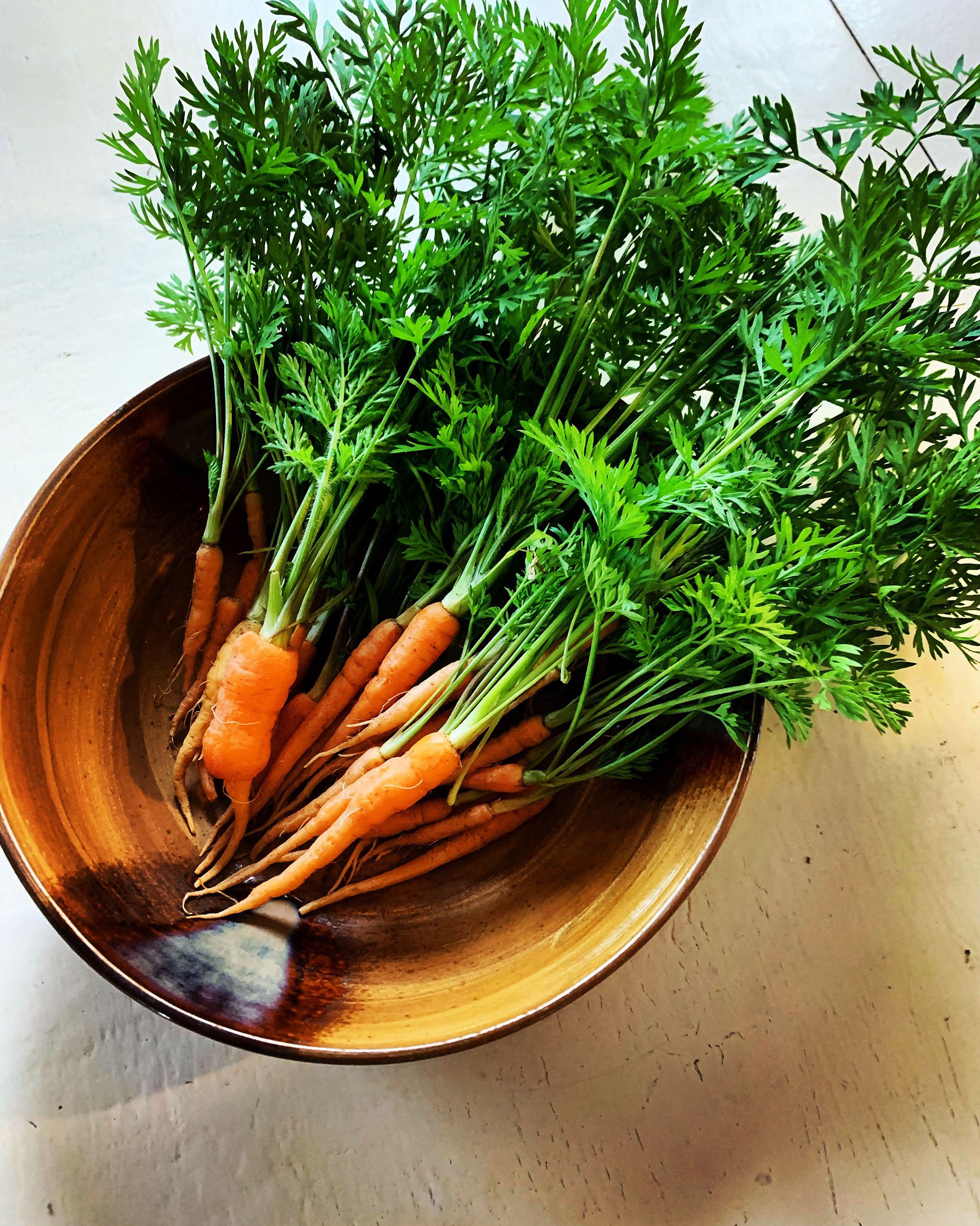 Користь моркви - фото 1