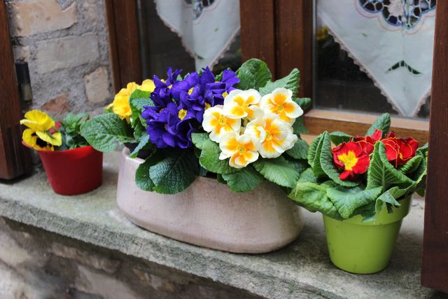 21 березня 2023 – яке сьогодні свято: традиції, заборони і прикмети - фото 452303