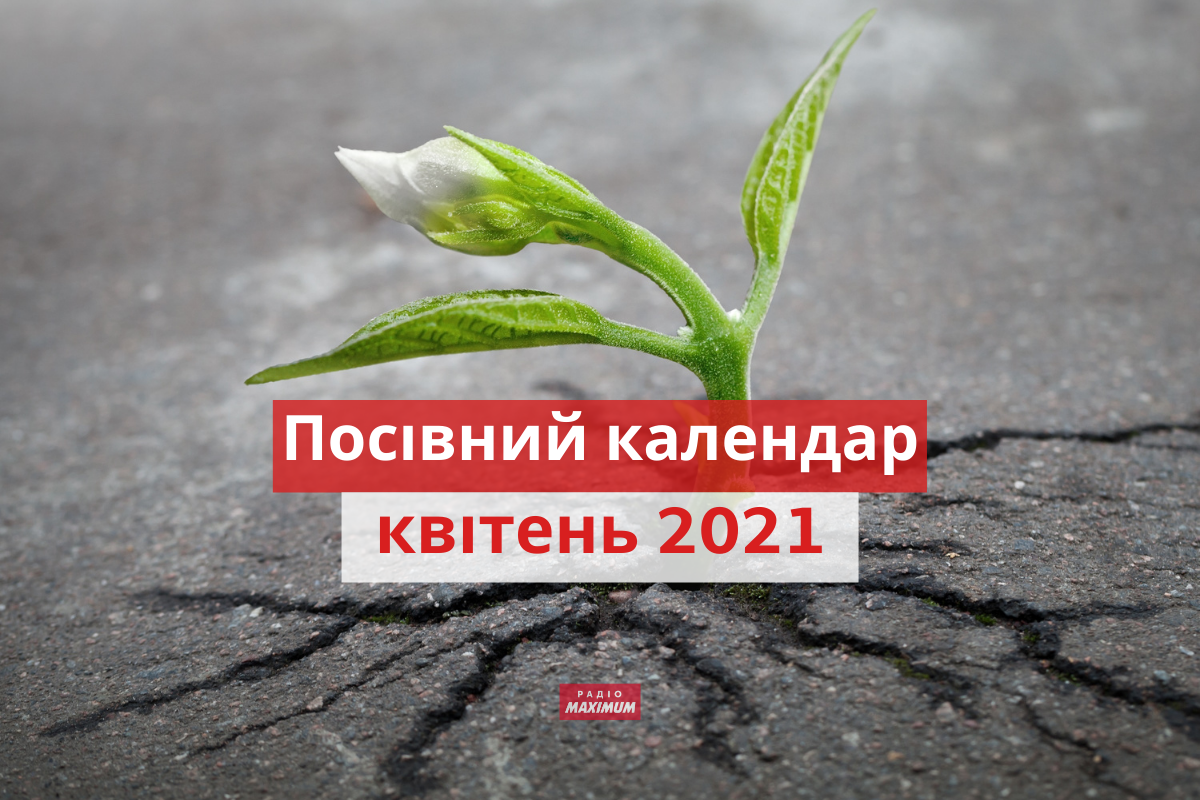 Місячний посівний календар на квітень 2021: коли і що садити