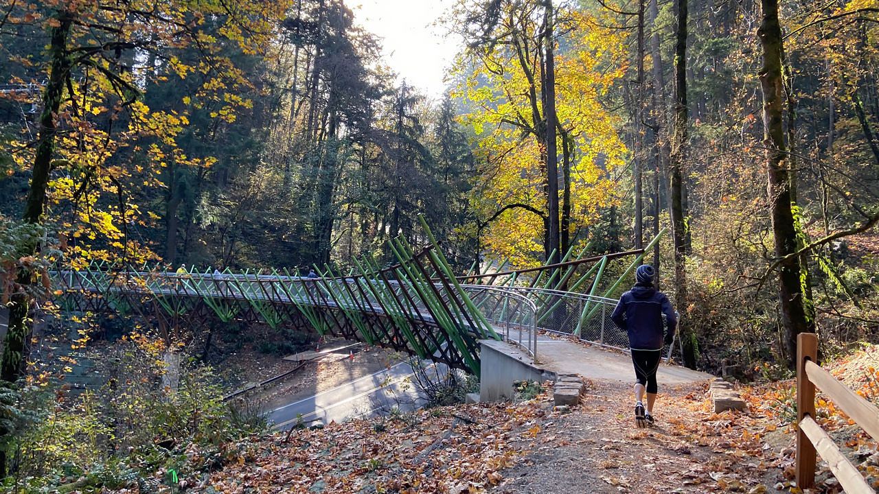 Три прибалтійські республіки з'єднає пішохідна стежка - фото 1