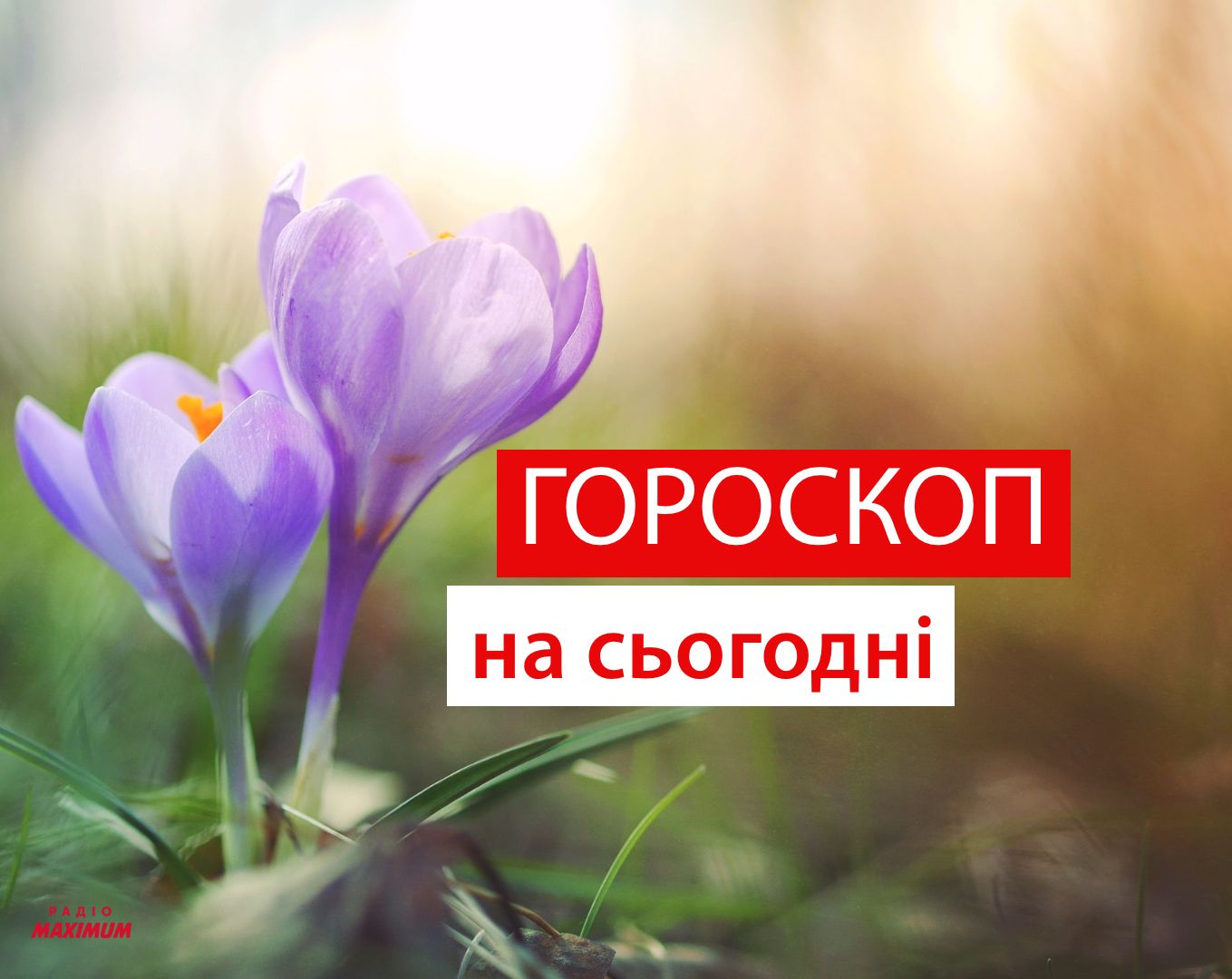 Гороскоп на 29 березня 2021: прогноз для всіх знаків Зодіаку
