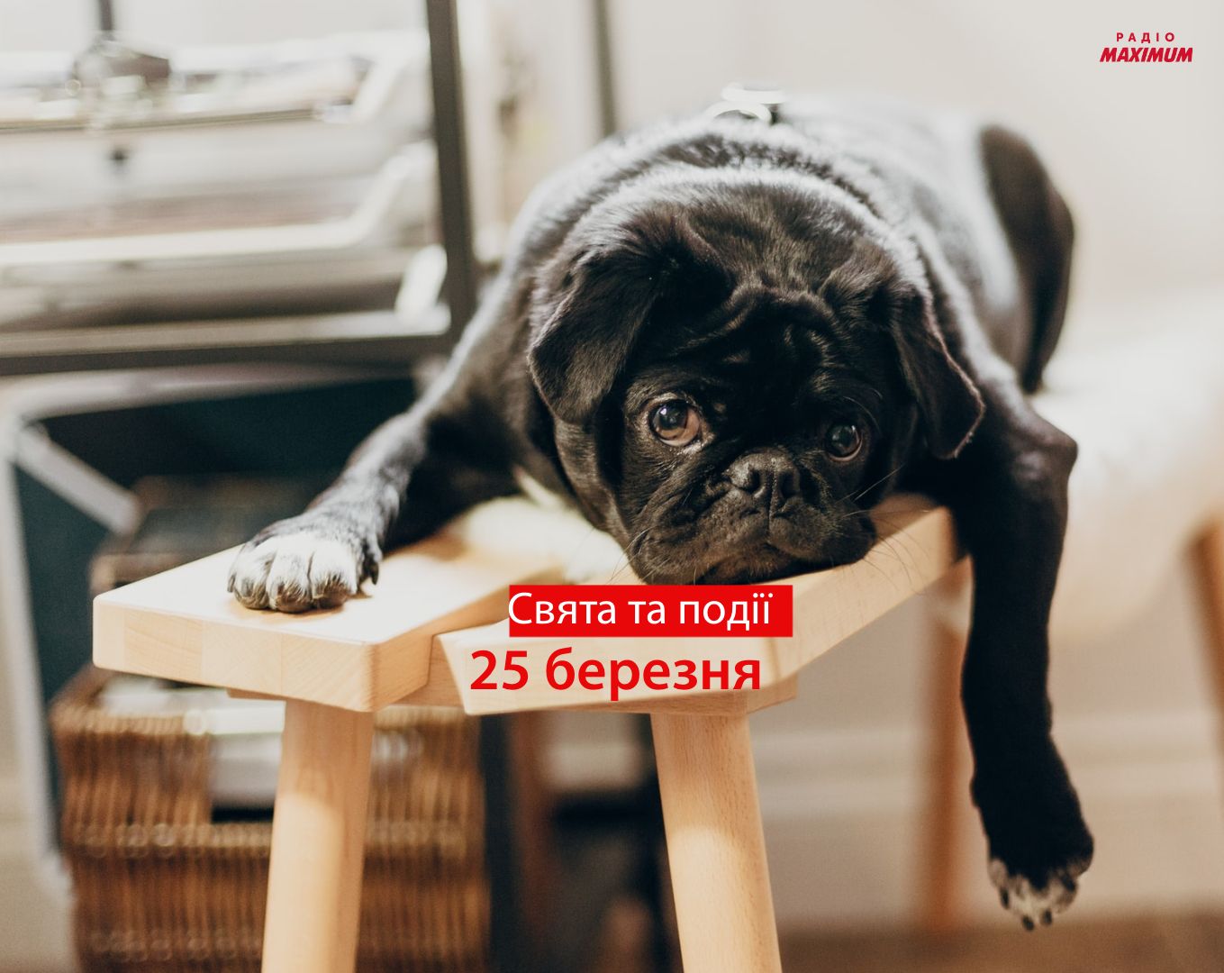25 березня 2021 – яке сьогодні свято: традиції, заборони і прикмети