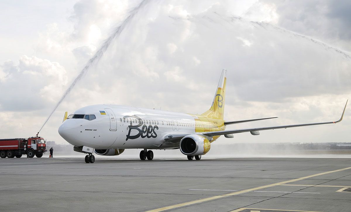 Тонкі крісла та простий дизайн: у мережі показали, як виглядає салон літака Bees Airline