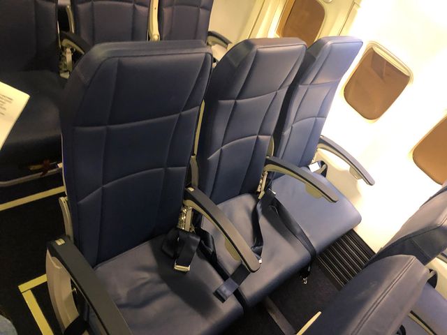 Тонкі крісла та простий дизайн: у мережі показали, як виглядає салон літака Bees Airline - фото 453057