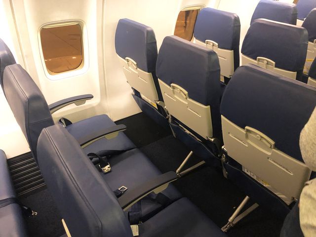 Тонкі крісла та простий дизайн: у мережі показали, як виглядає салон літака Bees Airline - фото 453058