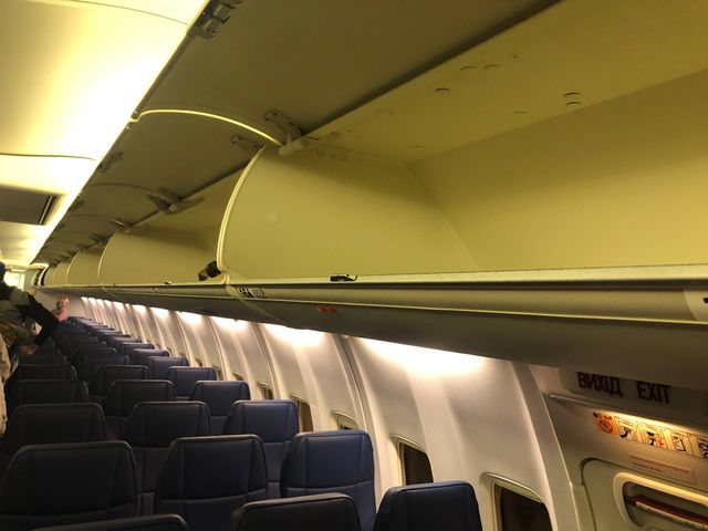 Тонкі крісла та простий дизайн: у мережі показали, як виглядає салон літака Bees Airline - фото 453059