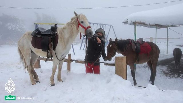 Північ Африки засипало снігом: фотофакт - фото 453099
