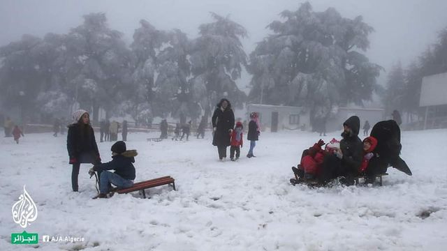 Північ Африки засипало снігом: фотофакт - фото 453100