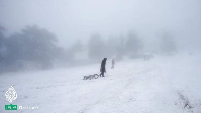 Північ Африки засипало снігом: фотофакт - фото 453101