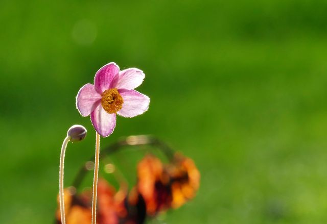 30 березня 2023 – яке сьогодні свято: традиції, заборони і прикмети - фото 453204