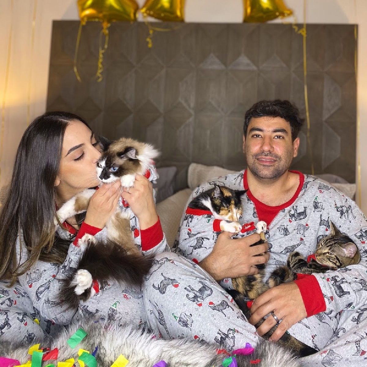 Заслуговує на Оскар: кіт розсмішив мережу своїм обманом (відео)