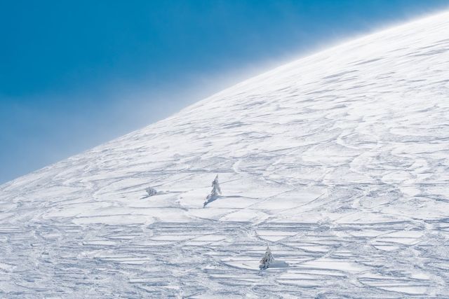 Одеський фотограф показав красу весняних Карпат (ФОТО) - фото 454051
