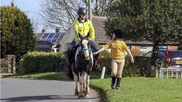 У сільському книжковому клубі Англії кур'єром працює поні - фото 454278