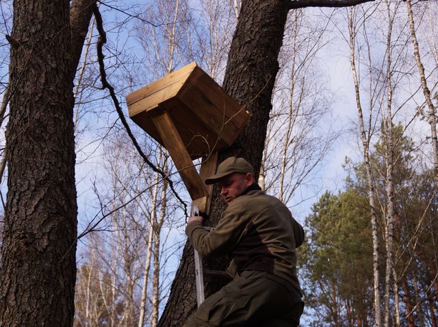 У Чорнобилі встановили нові будиночки для птахів: фотофакт - фото 454294