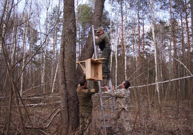 У Чорнобилі встановили нові будиночки для птахів: фотофакт - фото 454295