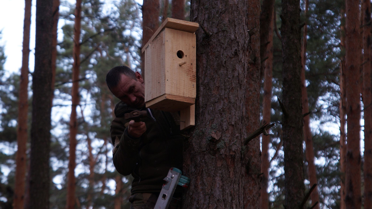 У Чорнобилі встановили нові будиночки для птахів: фотофакт - фото 1