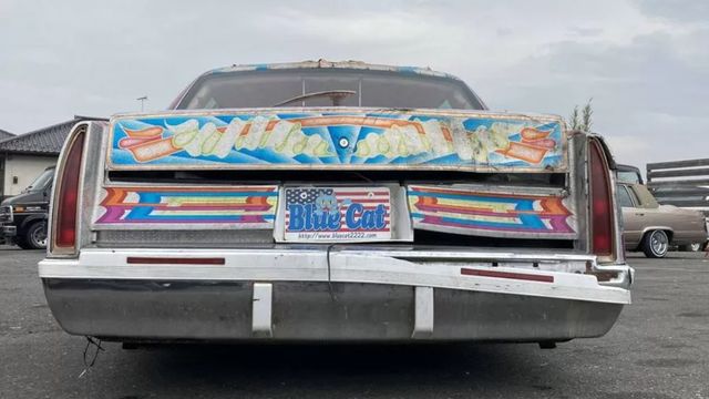 Незвичайний лімузин Cadillac продають усього за 98 тисяч гривень: фото - фото 454744