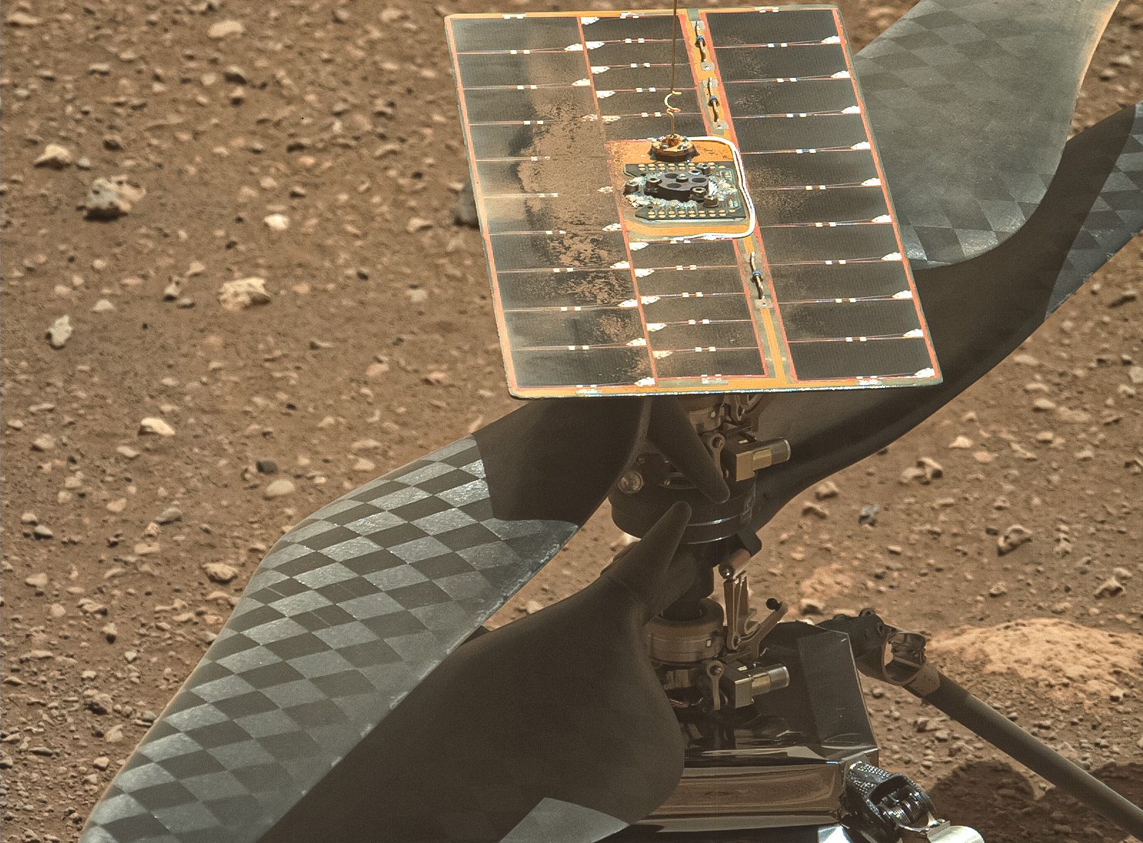 Марсіанський вертоліт Ingenuity - фото 1