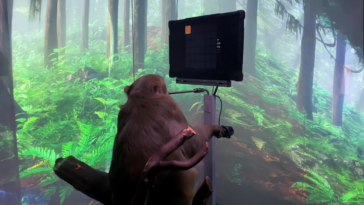 Чип Neuralink допомагає мавпі керувати грою силою думки - фото 1