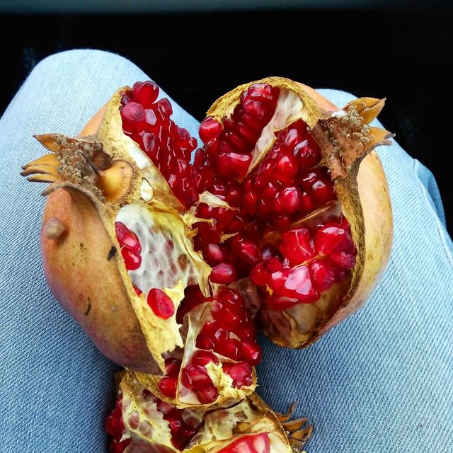 Три продукти, які допомагають зберегти зір - фото 455015