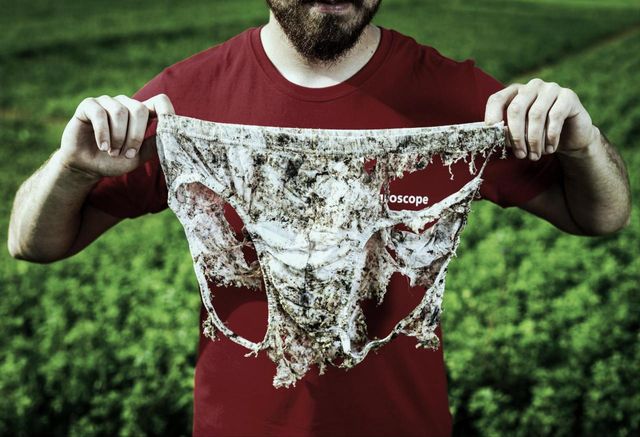 Швейцарські фермери закопають 2000 пар трусів: навіщо вони це зроблять - фото 455062