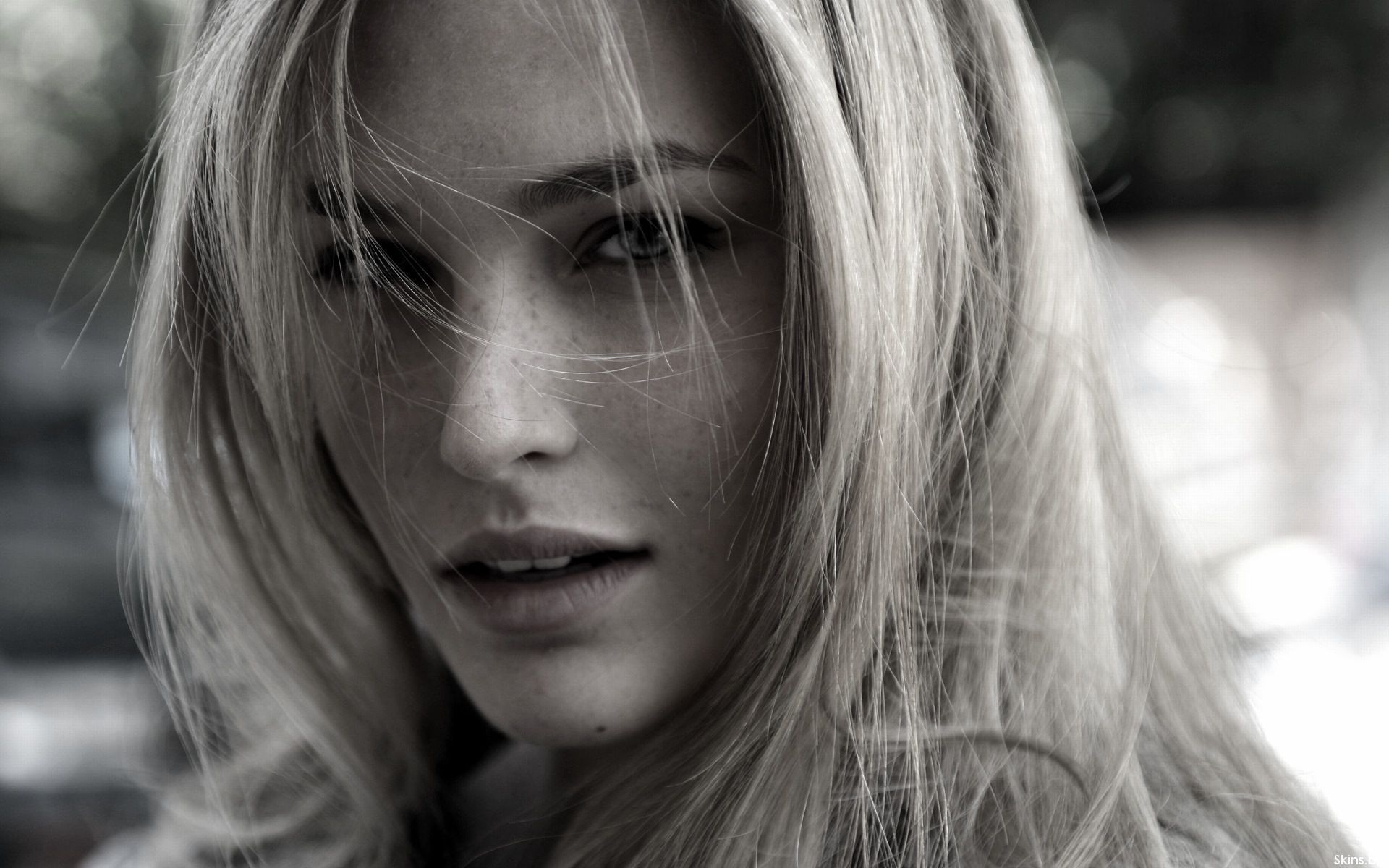 Бар Рафаелі - фото 1