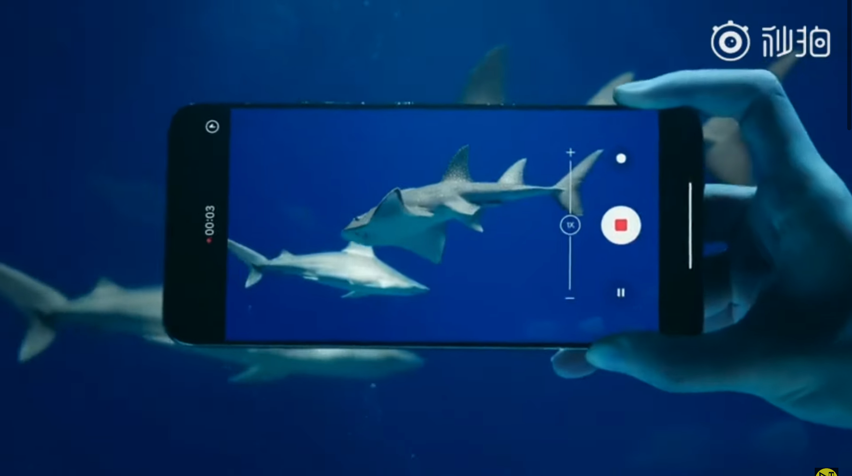 Флагманський Xiaomi Mi11 Ultra розпакували під водою: відео шаленої витівки