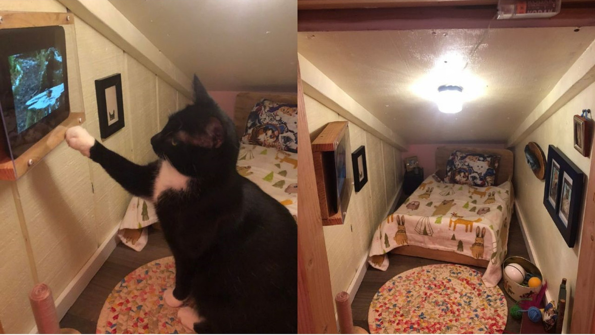 Котяча кімната - фото 1