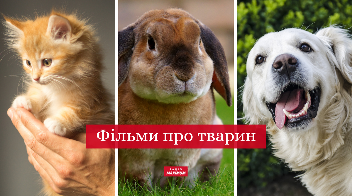 фільми про тварин - фото 1