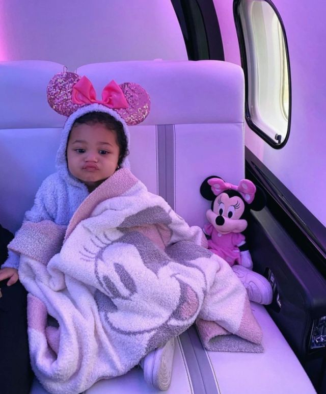 Як виглядає приватний літак наймолодшої мільярдерки світу: фото - фото 456278