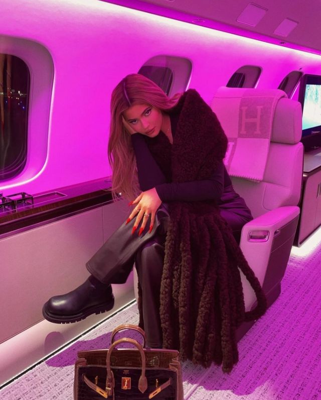 Як виглядає приватний літак наймолодшої мільярдерки світу: фото - фото 456279