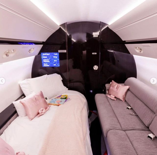 Як виглядає приватний літак наймолодшої мільярдерки світу: фото - фото 456280