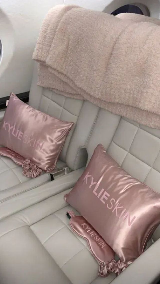 Як виглядає приватний літак наймолодшої мільярдерки світу: фото - фото 456281