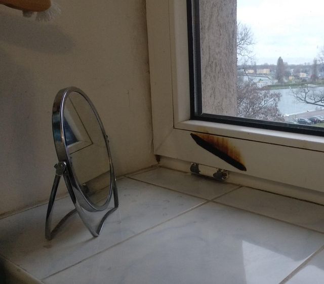 reddit - фото 456420