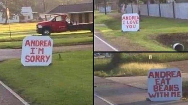 reddit - фото 456484