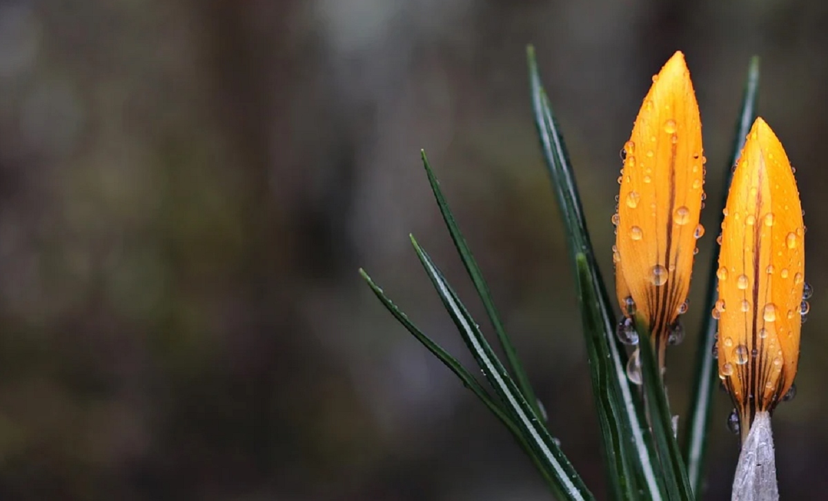 Погода в Україні 22 квітня: точний прогноз по містах