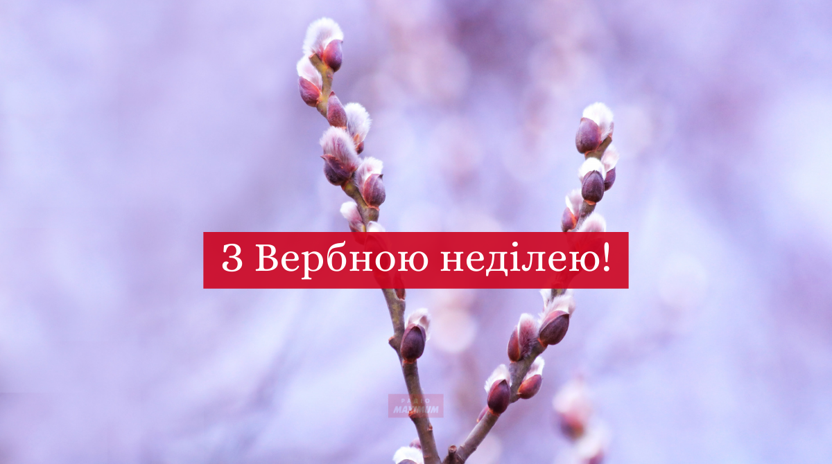 СМС привітання з Вербною неділею 2025: короткі побажання зі святом