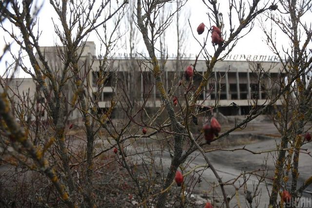 Зона відчуження: як виглядають Прип'ять і Чорнобиль сьогодні - фото 457008