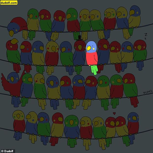 Головоломка для уважних: знайдіть папугу без пари на яскравій картинці - фото 457093