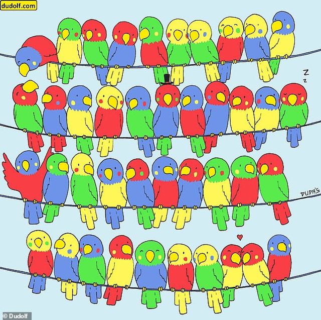 Головоломка для уважних: знайдіть папугу без пари на яскравій картинці - фото 457094