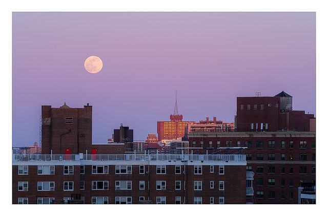 Рожевий Супермісяць 2021: вражаючі фото незвичайного явища з різних куточків планети - фото 457124