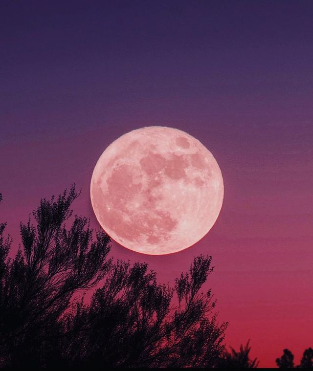 Рожевий Супермісяць 2021: вражаючі фото незвичайного явища з різних куточків планети - фото 457125