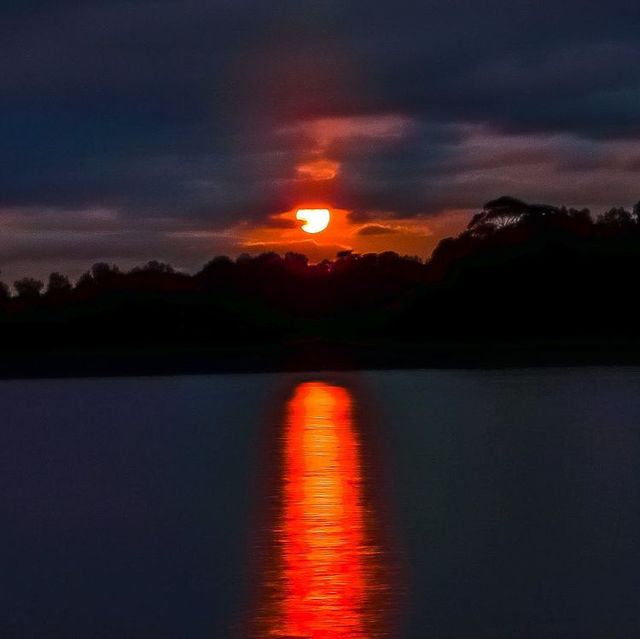 Рожевий Супермісяць 2021: вражаючі фото незвичайного явища з різних куточків планети - фото 457128