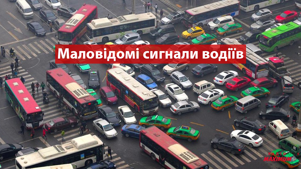 Сигнали водіїв - фото 1