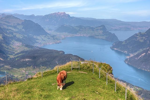 У Швейцарії виявили 3000-річне затонуле поселення - фото 457506