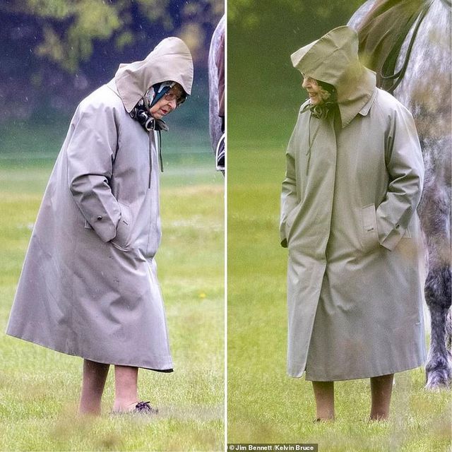 Папарацці підловили королеву Єлизавету під час прогулянки у Віндзорському замку - фото 457678