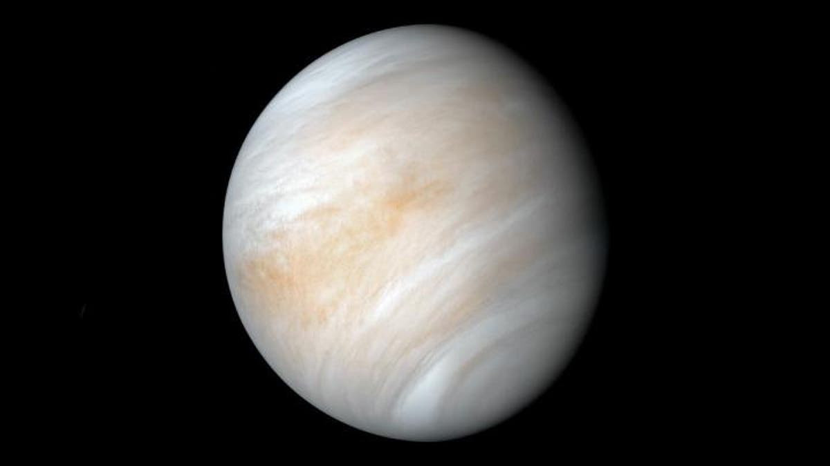 Венера - фото 1