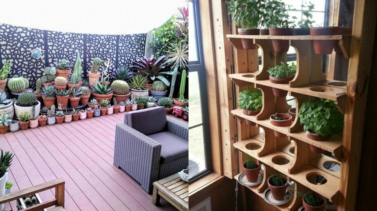 Ідея для власного саду - фото 1